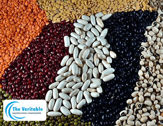 The-Veritable-Pulses