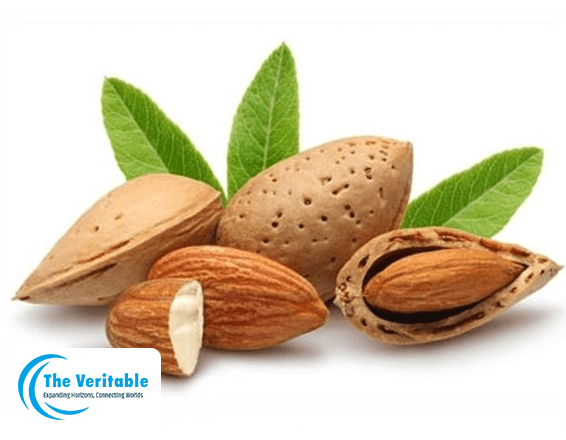 The-Veritable-Almond